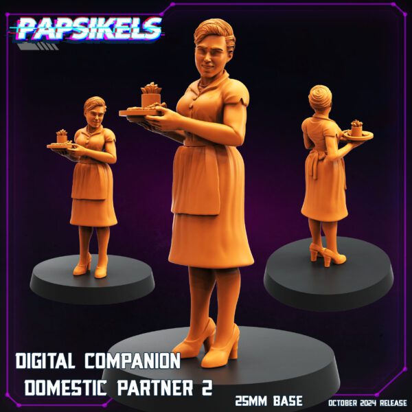 DIGITAL_COMPANION_DOMESTIC_PARTNER_2 DIGITAL COMPANYON DOMESTIC PARTNER 2