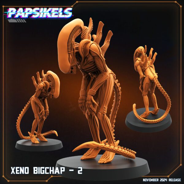 XENO_BIGCHAP_2 XENO BIGCHAP - 2