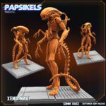 XENO NAVI