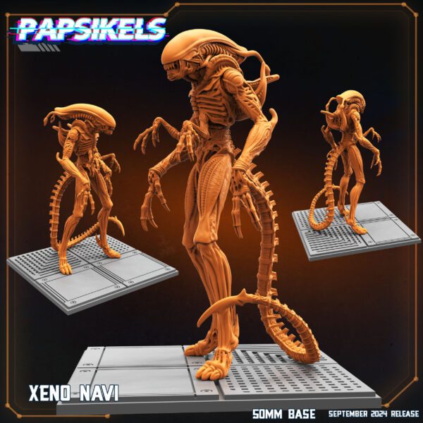 XENO_NAVI XENO NAVI