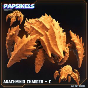 ARACHMINIDCHARGER C