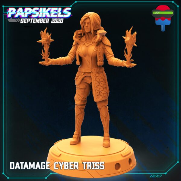 DATAMAGE CYBER TRISS