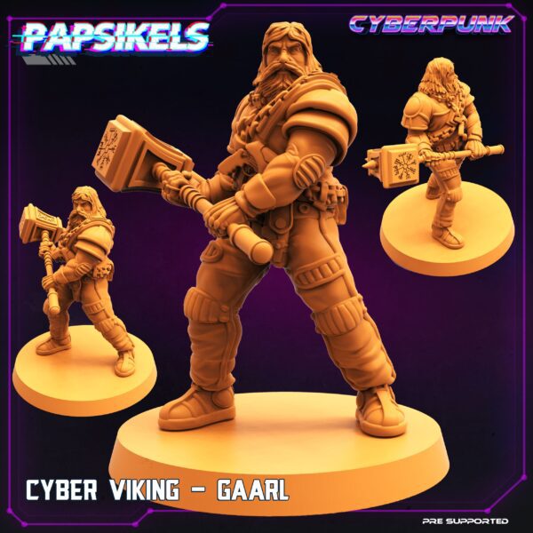 resized-cyber-viking-gaarl CYBER VIKING - GAARL