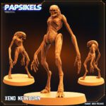 XENO NEWBORN